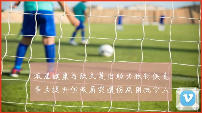 浓眉健康与欧文复出助力独行侠竞争力提升但浓眉突遭伤病困扰令人担忧