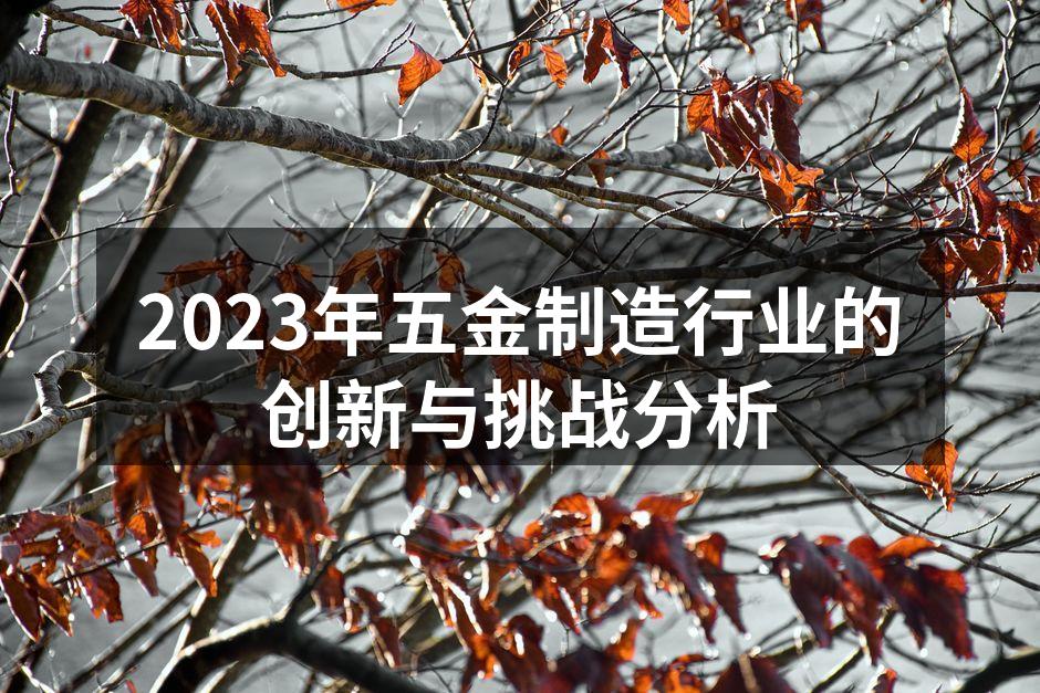 2023年五金制造行业的创新与挑战分析